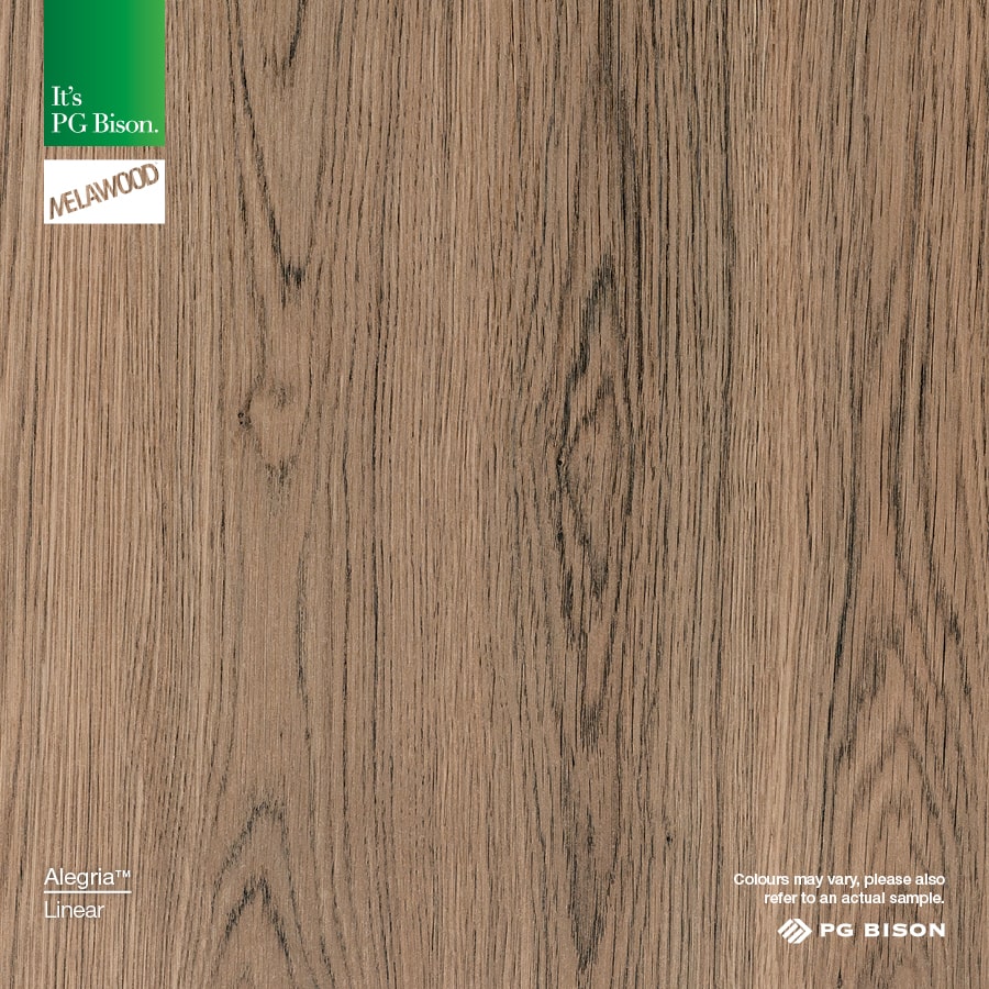 2023 NEW PG Bison MW Alegria