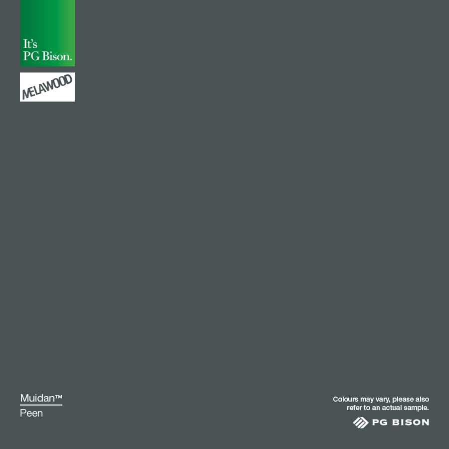 2023 NEW PG Bison MW Muidan