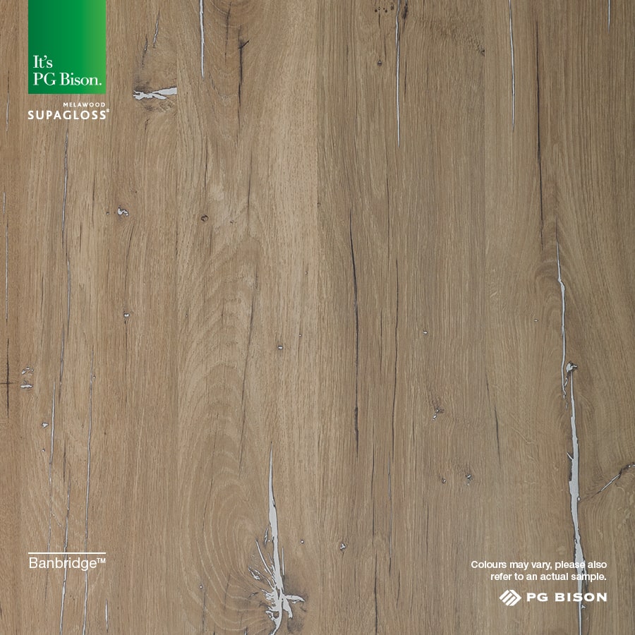 2023 NEW PG Bison SUPAGLOSS Banbridge