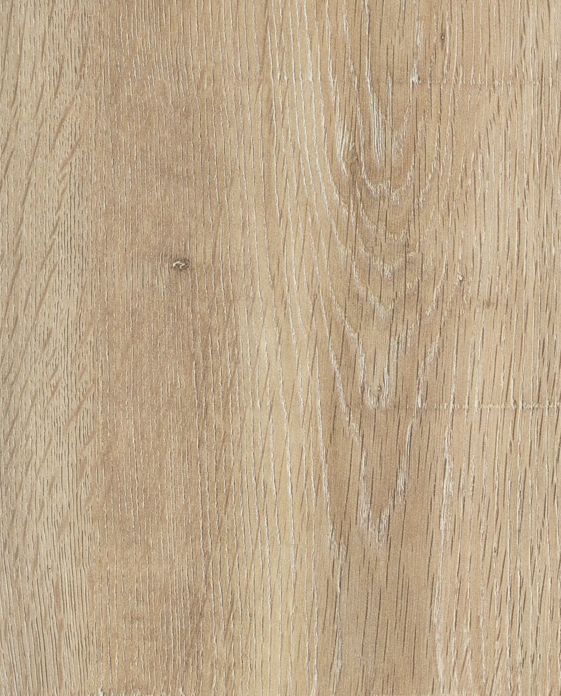 Berkshire Oak