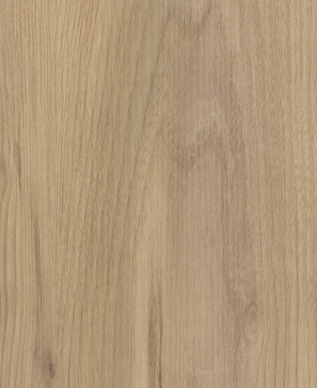 Country Elm