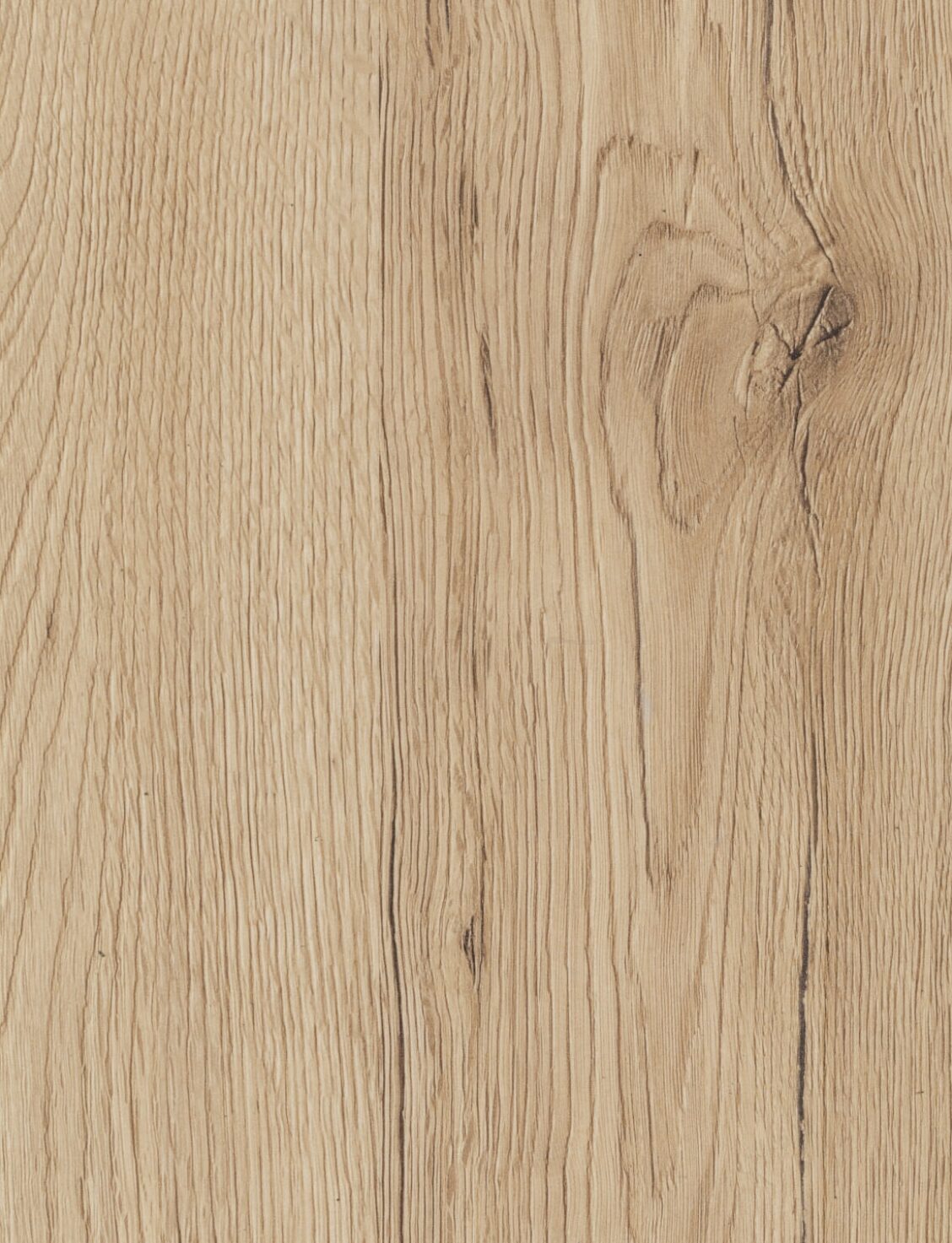 Sanremo Oak