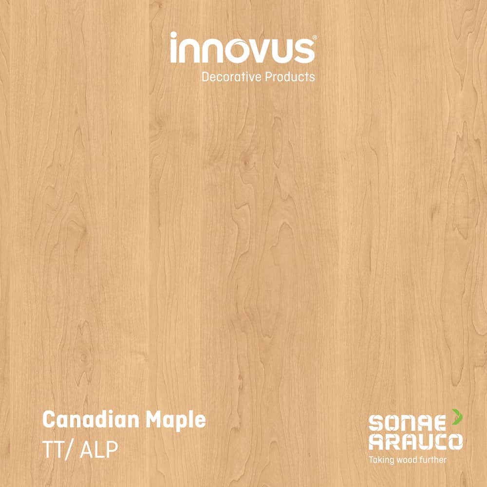 Canadian Maple TT - ALP