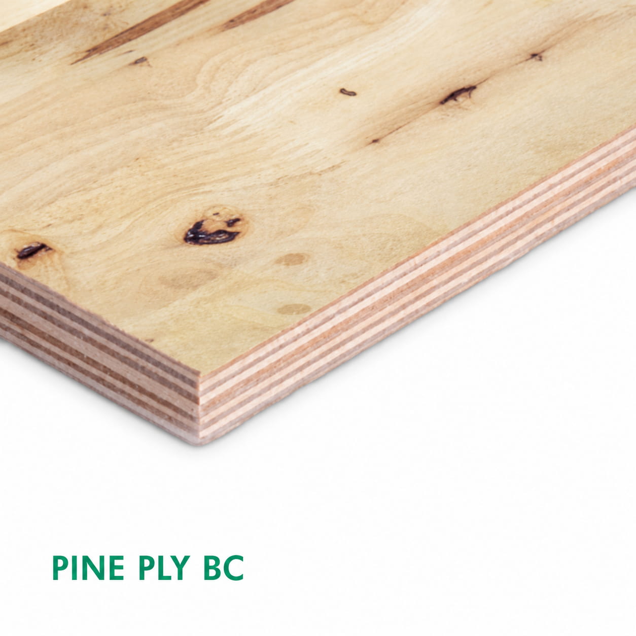 Pine Bc