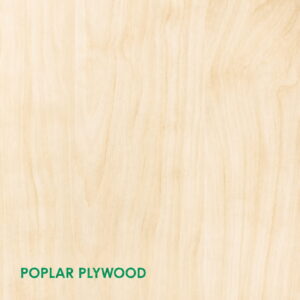 Poplar Plywood